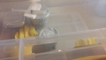 20160311_165142.jpg