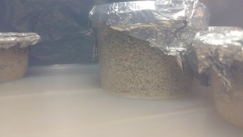 20160313_163242.jpg