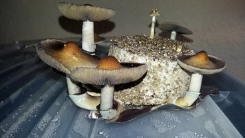 20160316_151809.jpg