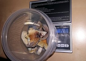 20160318_093206-1.jpg