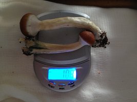 IMG_2572.JPG