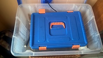 WP_20160122_10_28_14_Pro.jpg