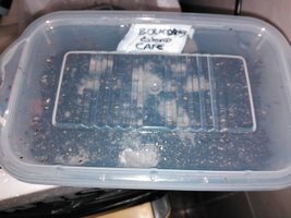 IMG_20160313_232048.jpg