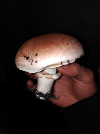 IMG_20160310_201215.jpg