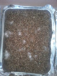 20160321_095108.jpg