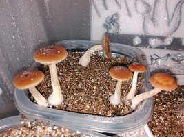 IMG_20160322_163151.jpg