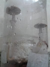 20160323_214408.jpg