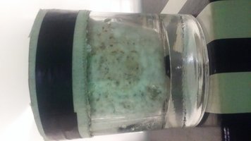 20160325_120313.jpg