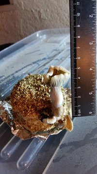 20160326_233628.jpg