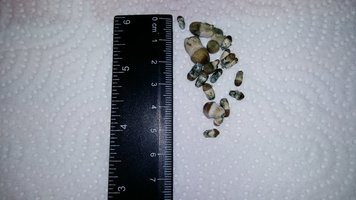 20160327_000355.jpg