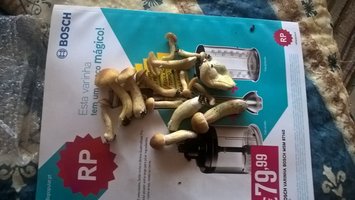 WP_20160327_19_00_58_Pro_LI.jpg