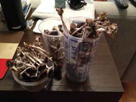 IMG_2652.JPG