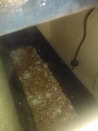 IMG_20160328_002133.jpg