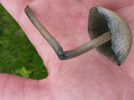 20160327_114609.jpg