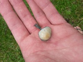 20160327_115254.jpg