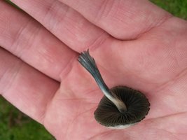 20160327_115243.jpg