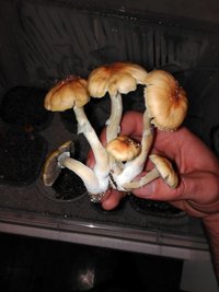IMG_20160328_223825.jpg