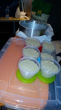 20160325_141939.jpg