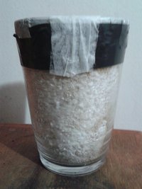 Copo 1a.jpg