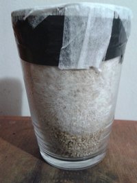 Copo 1b.jpg