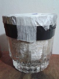 Copo 3b.jpg