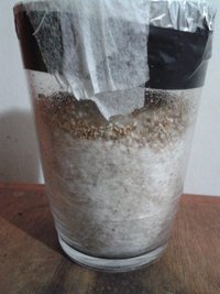 Copo 6a.jpg
