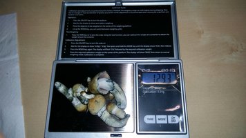 20160330_171629.jpg