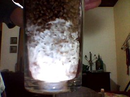 capture20160331000550.jpg