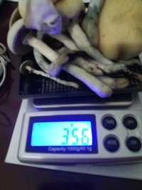 CAM01144.jpg