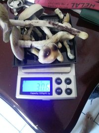CAM01158.jpg