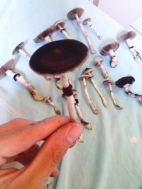 CAM01170.jpg
