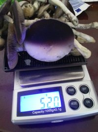 CAM01171.jpg