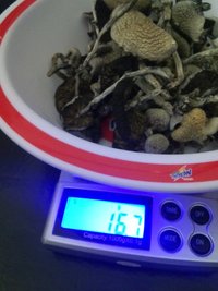 CAM01173.jpg