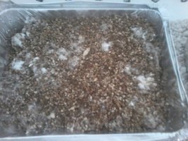 20160402_152415.jpg