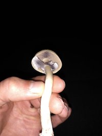 IMG_20160331_231455.jpg