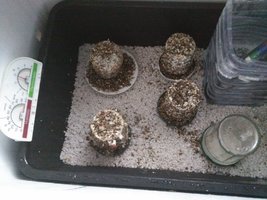 20160404_193721.jpeg