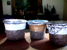 Webcam_04-04-16_15-41-02.png