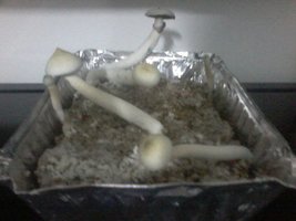 20160405_142301.jpg