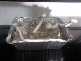 20160405_142357.jpg