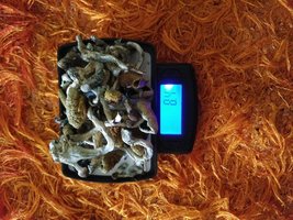 20160405_183141[1].jpeg