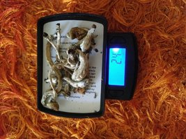 20160405_183319[1].jpeg