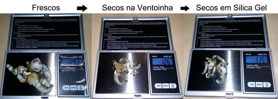 Secos.jpg