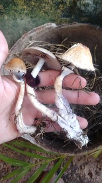 IMG_20160408_065911225.jpg