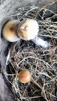IMG_20160408_065801204.jpg