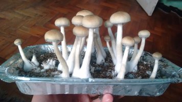 IMG_20160404_114334353.jpg