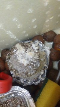 IMG_20160407_075029982.jpg