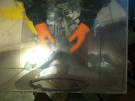 IMG_4127.JPG