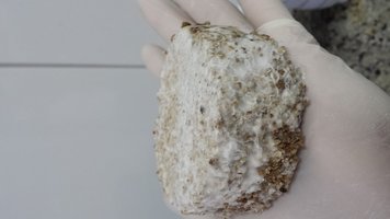 20160315_071206.jpg