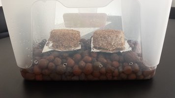 20160315_132356.jpg