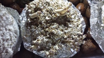 20160322_074215.jpg